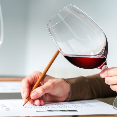 Dégustation Et Excellence Formation Degustation Vin (17)